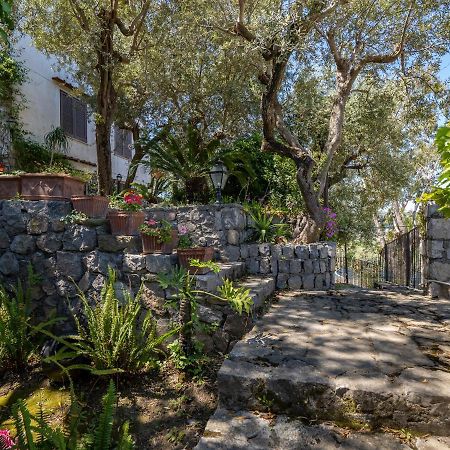 Ulivi Apt Villa Sorrento Exteriör bild