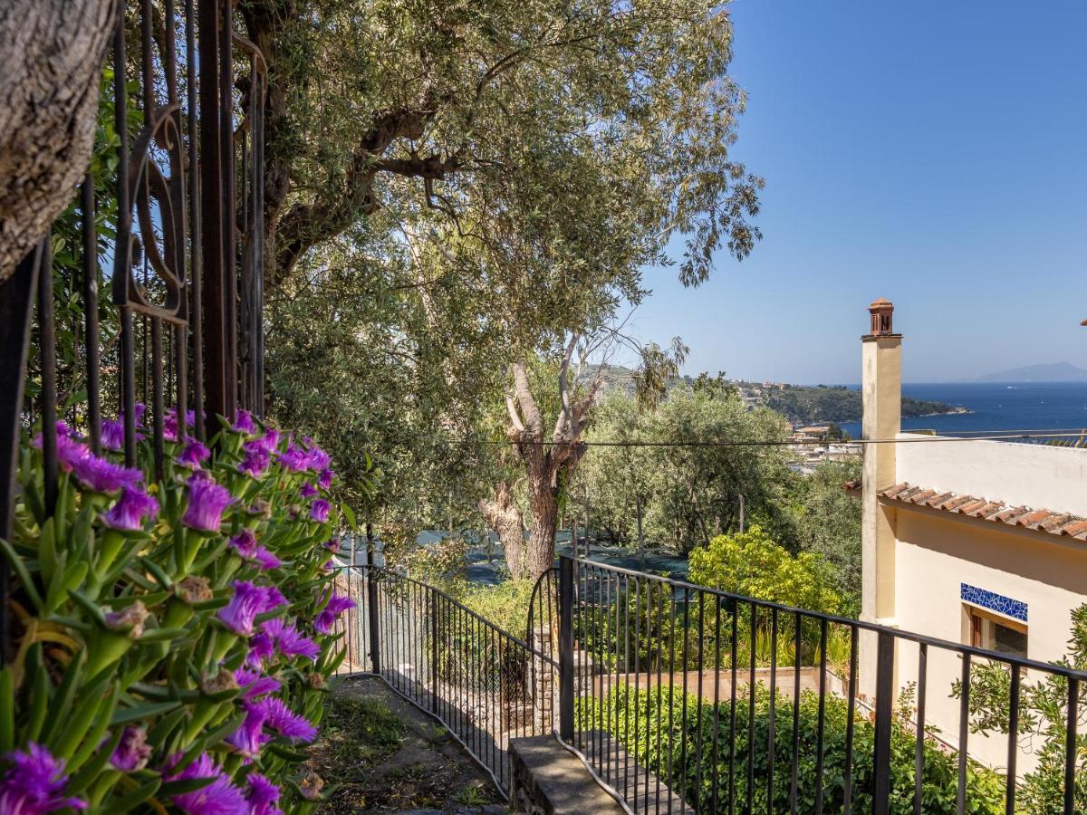 Ulivi Apt Villa Sorrento Exteriör bild