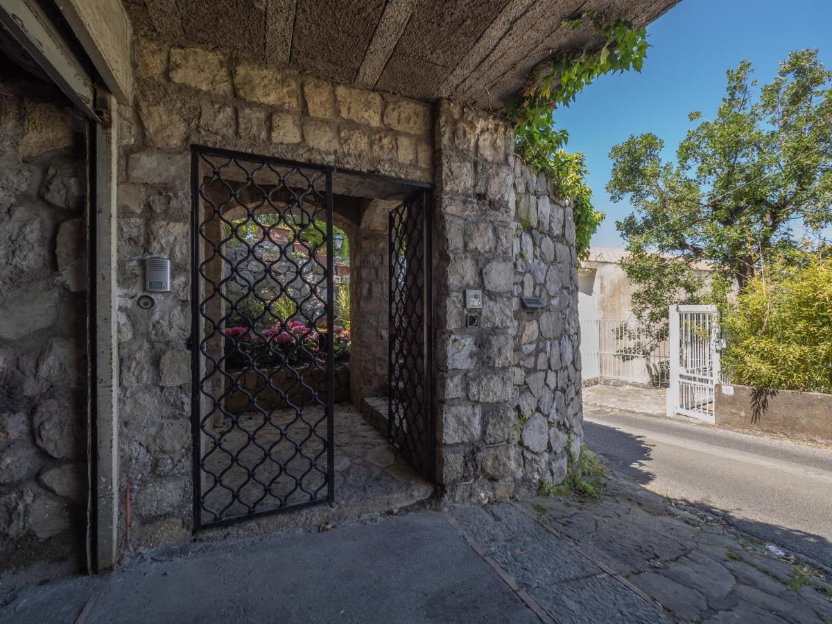 Ulivi Apt Villa Sorrento Exteriör bild