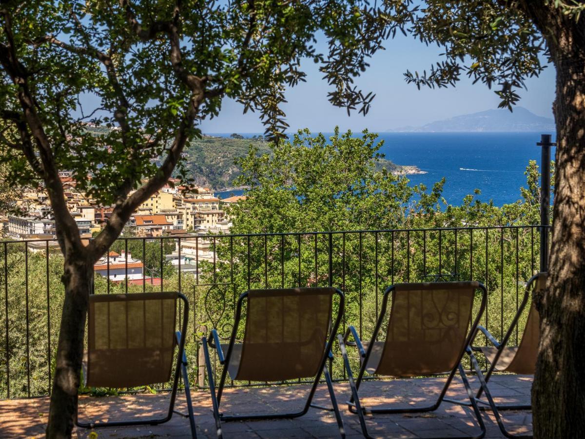 Ulivi Apt Villa Sorrento Exteriör bild