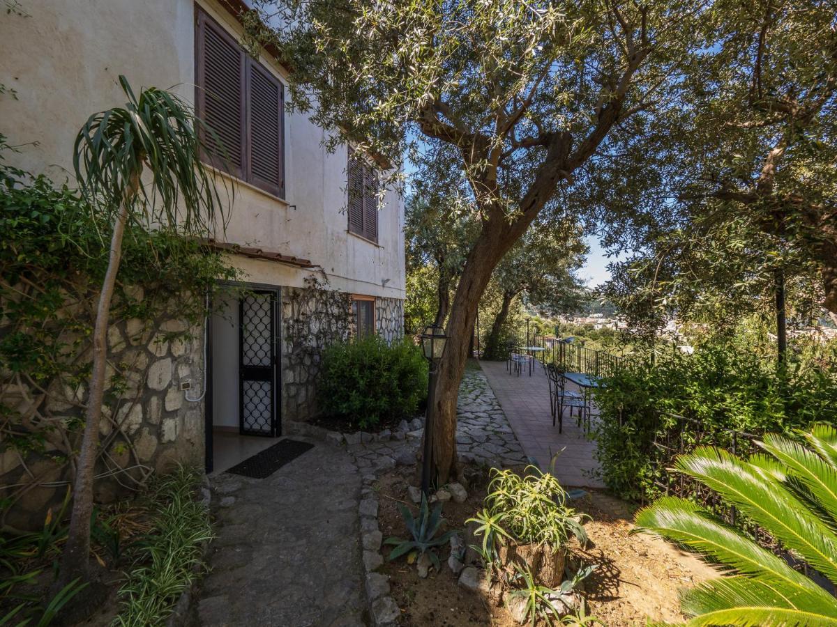 Ulivi Apt Villa Sorrento Exteriör bild