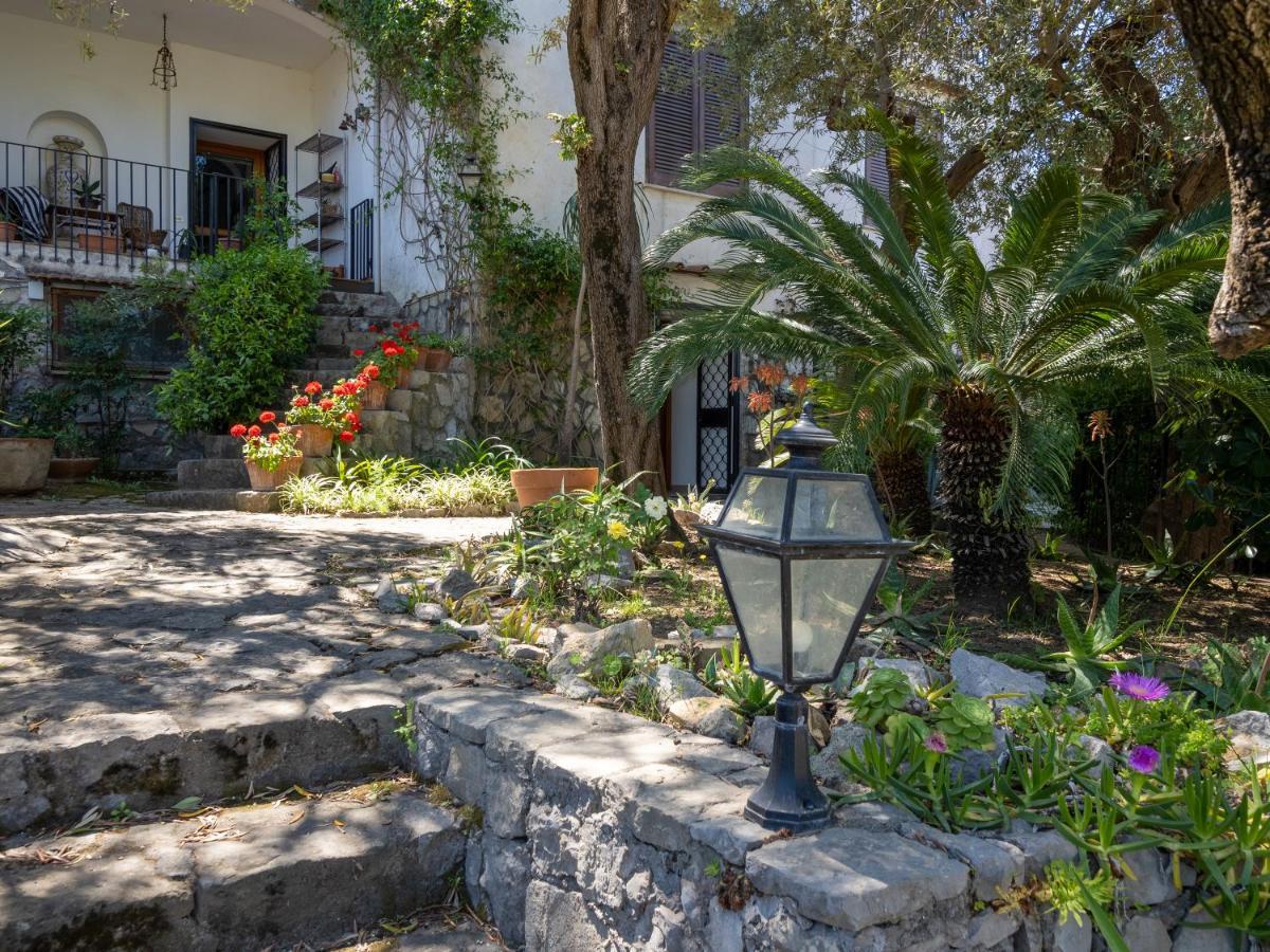 Ulivi Apt Villa Sorrento Exteriör bild