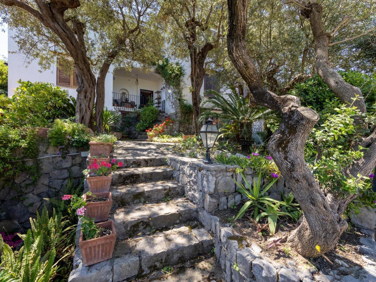 Ulivi Apt Villa Sorrento Exteriör bild