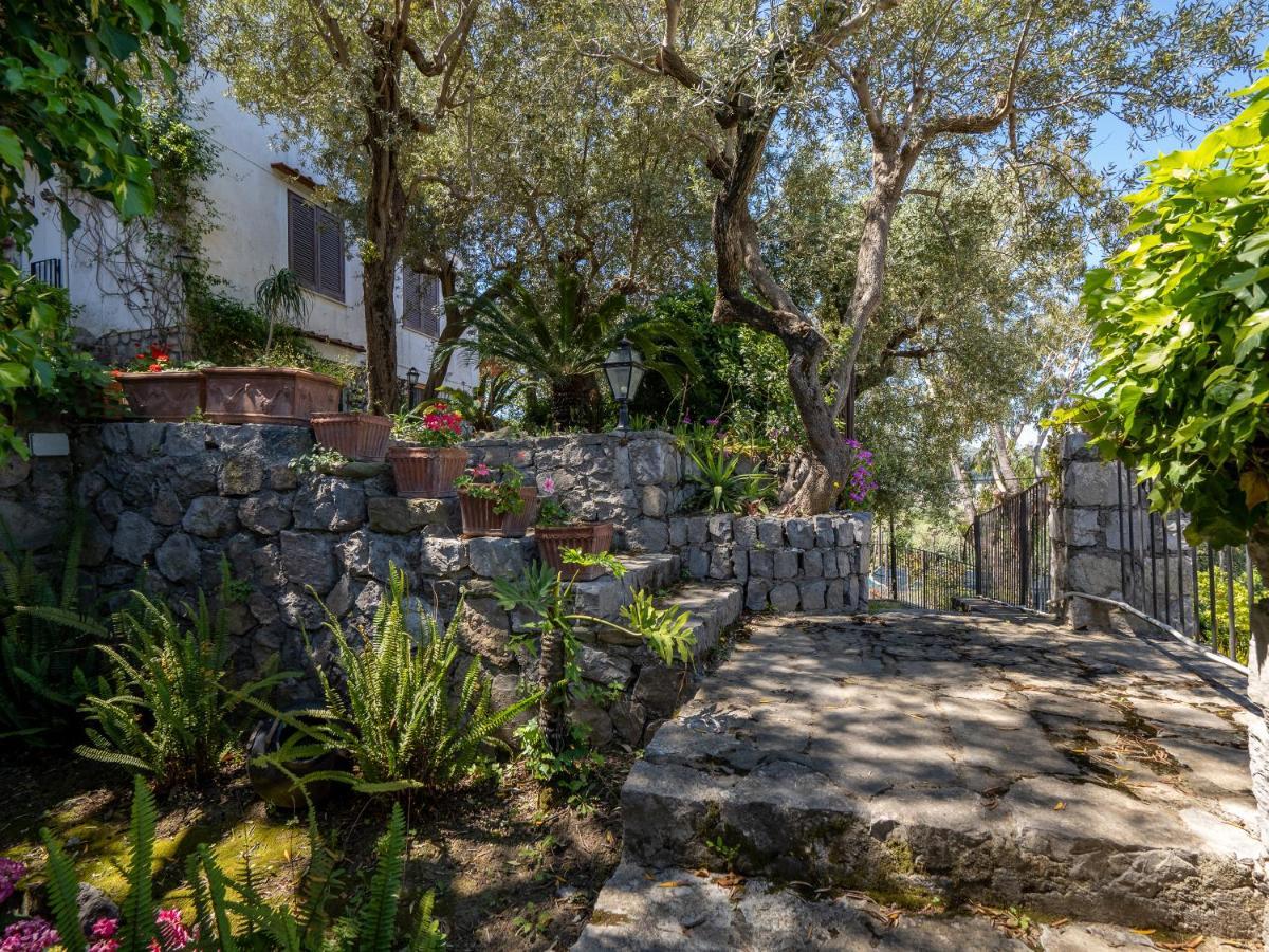 Ulivi Apt Villa Sorrento Exteriör bild